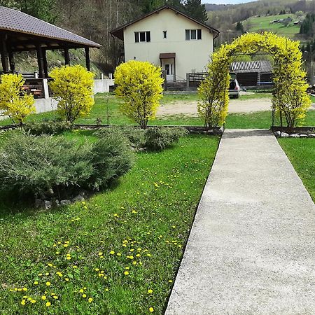Pensiunea La Rachitele Buitenkant foto