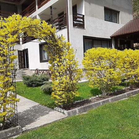 Pensiunea La Rachitele Buitenkant foto