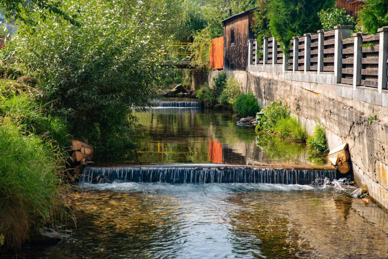 Pensiunea La Rachitele Buitenkant foto