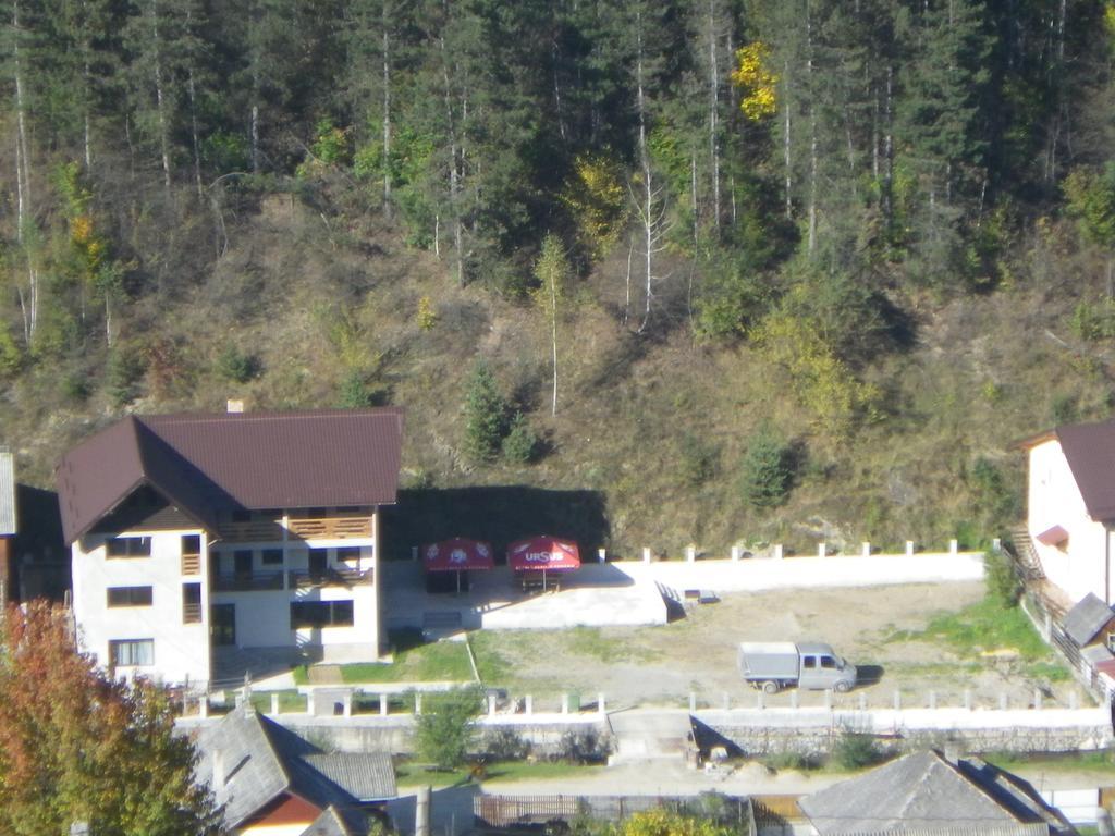 Pensiunea La Rachitele Buitenkant foto