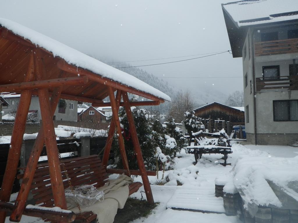 Pensiunea La Rachitele Buitenkant foto