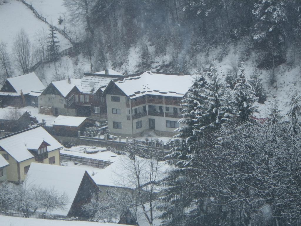 Pensiunea La Rachitele Buitenkant foto