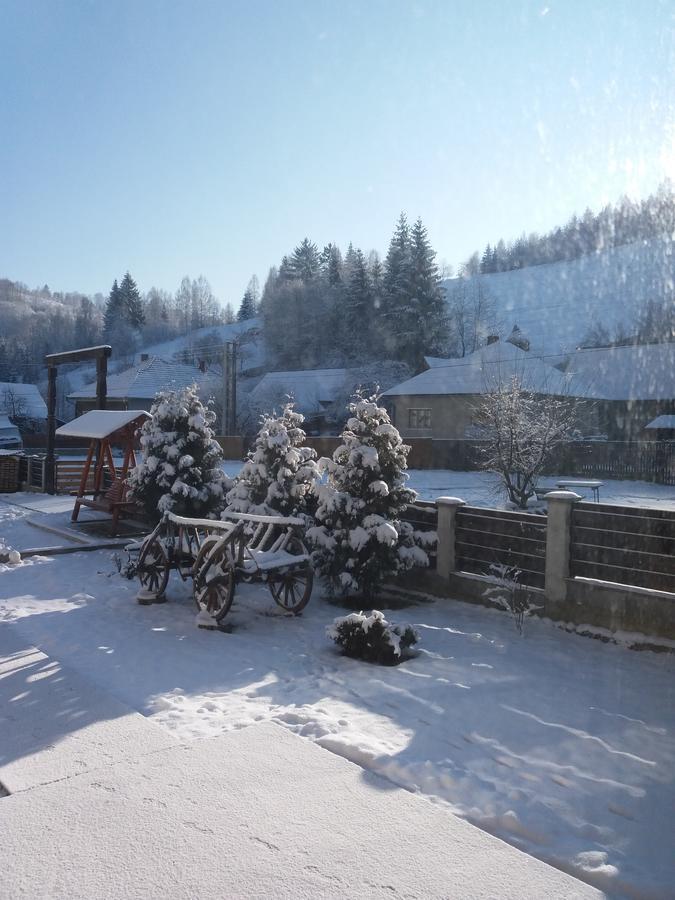 Pensiunea La Rachitele Buitenkant foto