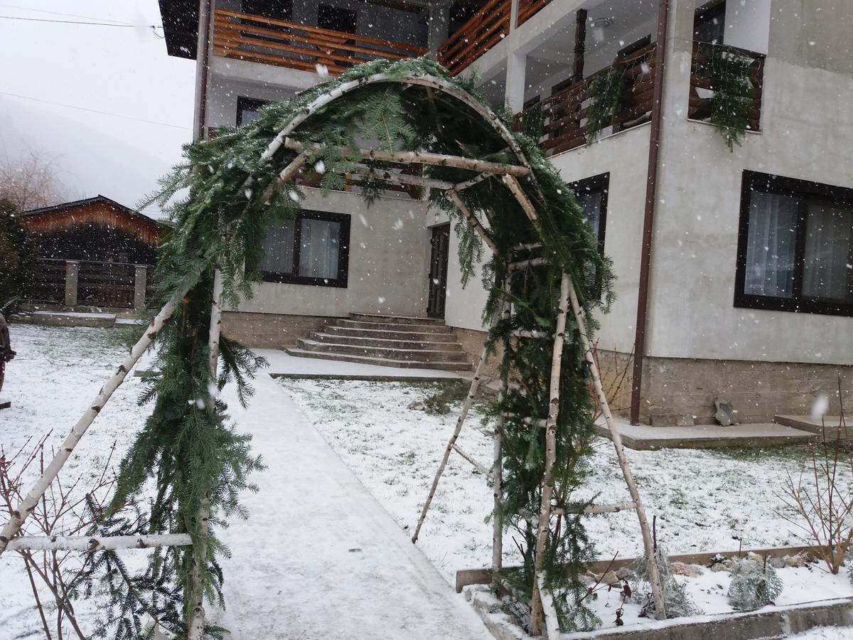 Pensiunea La Rachitele Buitenkant foto